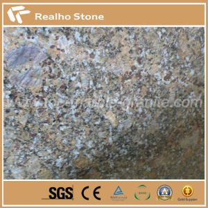 Butterfly Blue Granite Stone Flísar